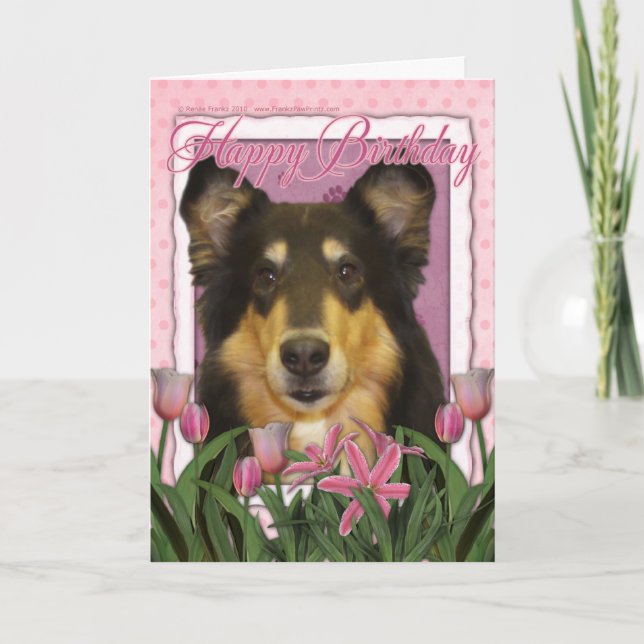 Tarjeta Feliz cumpleaños - Collie - Caroline (Anverso)