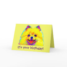Feliz cumpleaños colorido Pomeranian