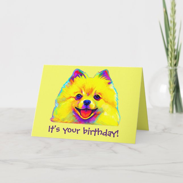 Tarjeta Feliz cumpleaños colorido Pomeranian (Anverso)