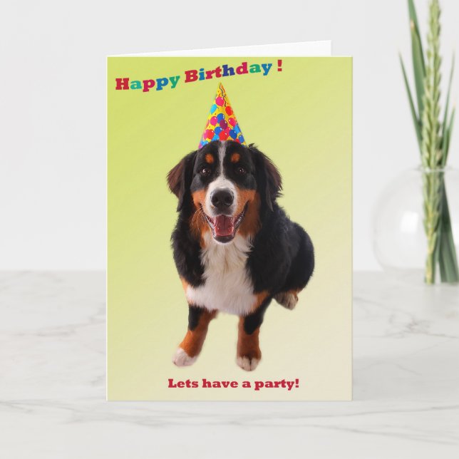 Tarjeta Feliz cumpleaños con bernese (Anverso)