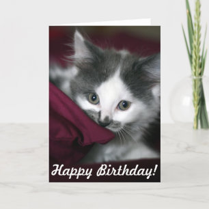 Tarjeta ¡Feliz cumpleaños con buen gatito!