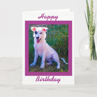Tarjeta Feliz cumpleaños con el perrito lindo