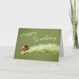 Tarjeta ¡Feliz cumpleaños con una pequeña mariquita!