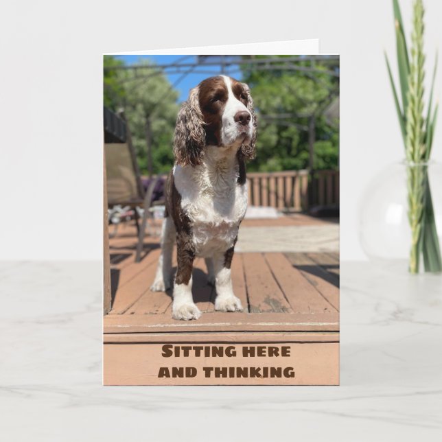 TARJETA FELIZ ***CUMPLEAÑOS*** CUMPLEAÑOS PARA USTEDES! TA (Anverso)