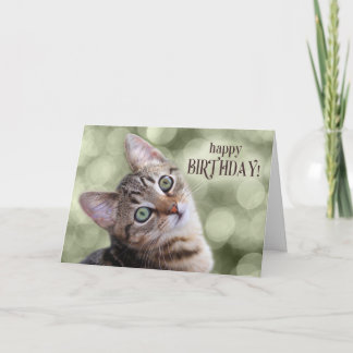 Tarjeta Feliz cumpleaños, Cute Tabby Kitten