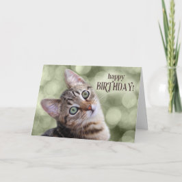 Tarjeta Feliz cumpleaños, Cute Tabby Kitten