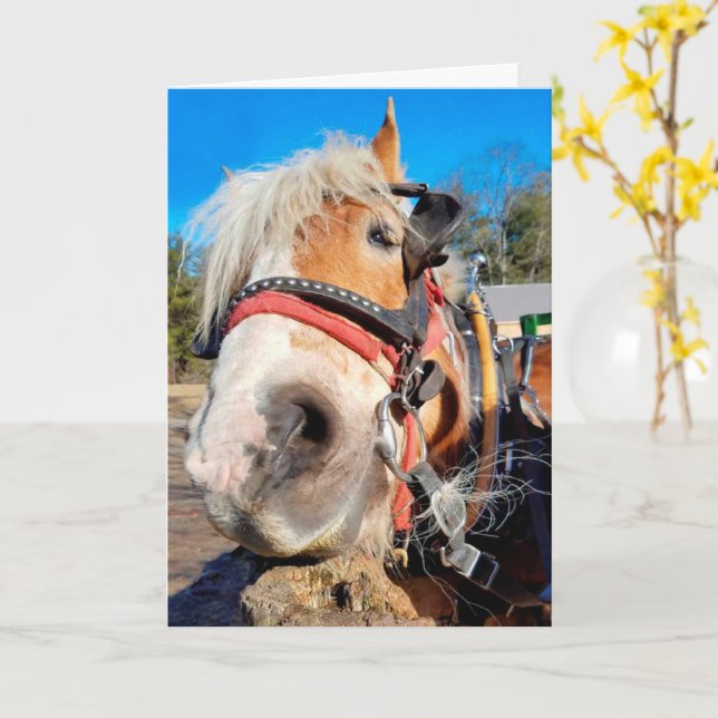 Tarjeta Feliz cumpleaños de caballos amistosos (flor amarilla)