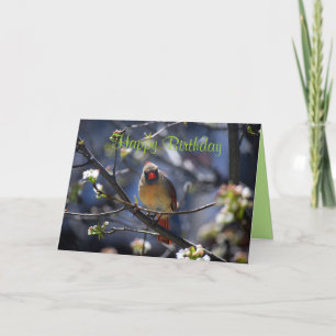 Tarjeta Feliz cumpleaños de cardenal en árbol de flores