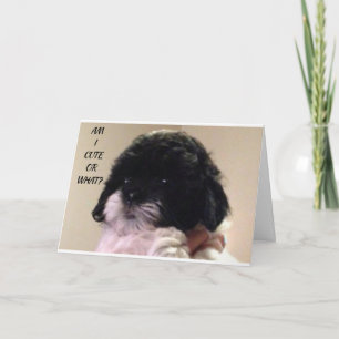 TARJETA FELIZ "CUMPLEAÑOS" DE CUTE SHIH TZU PUP