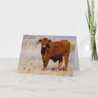 Tarjeta Feliz cumpleaños de Cute Young Red Cow