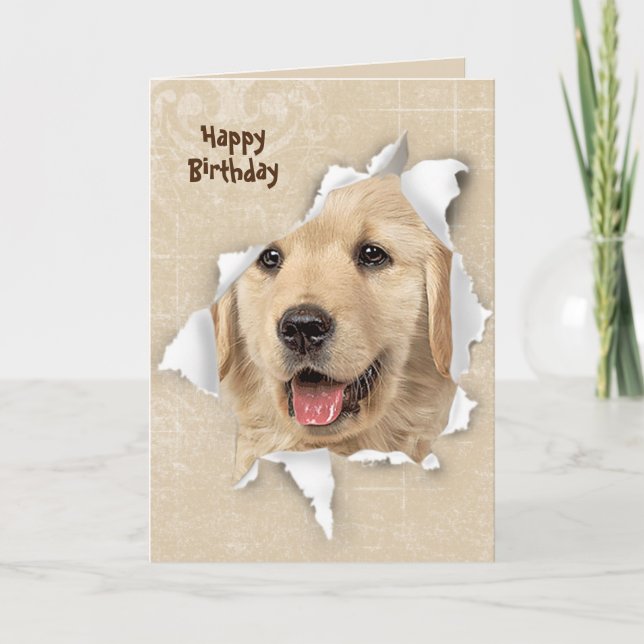 Tarjeta Feliz cumpleaños de Golden Retriever (Anverso)