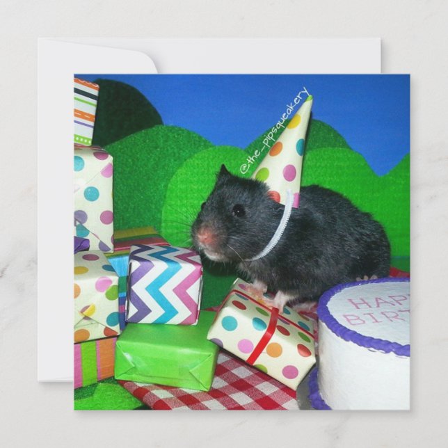 Tarjeta ¡Feliz cumpleaños de Hamster! (Anverso)