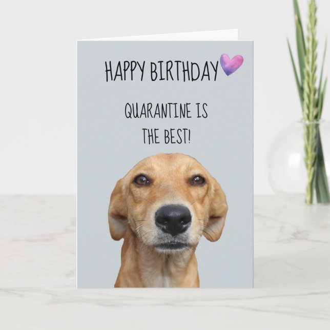 Tarjeta Feliz Cumpleaños De La Cuarentena De Perros Covid- (Anverso)