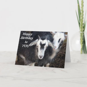 TARJETA FELIZ CUMPLEAÑOS DE LA FELIZ PAREJA DE CABRA DE PI