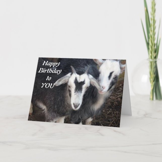 TARJETA FELIZ CUMPLEAÑOS DE LA FELIZ PAREJA DE CABRA DE PI (Anverso)