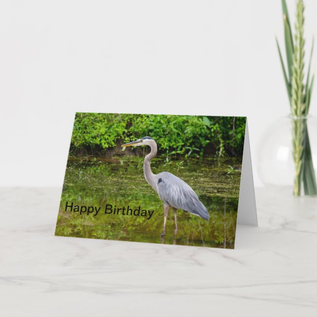 Tarjeta Feliz cumpleaños de la garza azul (Anverso)