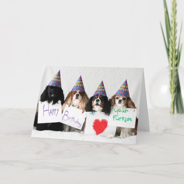 Tarjeta Feliz cumpleaños de los Cavaliers del perro del (Anverso)