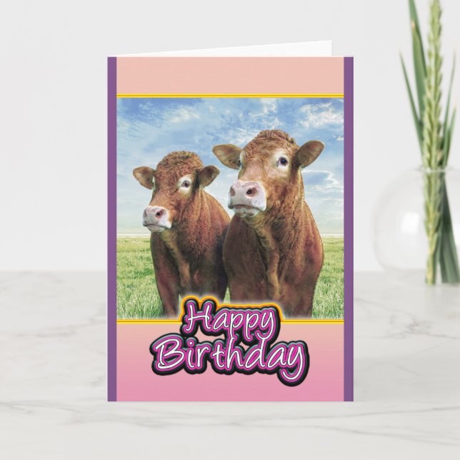 Tarjeta Feliz cumpleaños de los muchachos de la vaca (Anverso)
