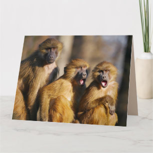 TARJETA FELIZ CUMPLEAÑOS DE LOS TRES 3 DE MONO ESTADOUNIDE