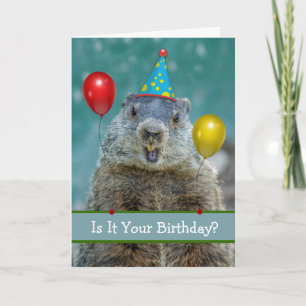 Tarjeta Feliz cumpleaños de nuevo en Groundhog Day