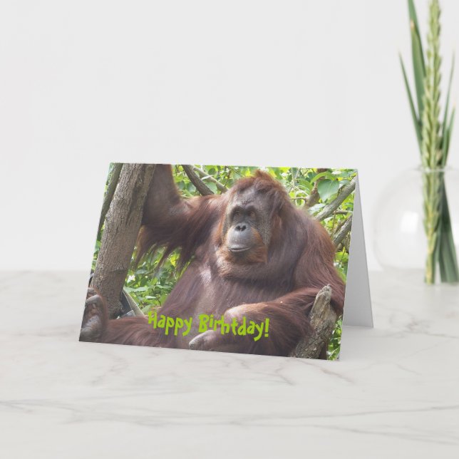 Tarjeta ¡Feliz cumpleaños de Orangutan! (Anverso)
