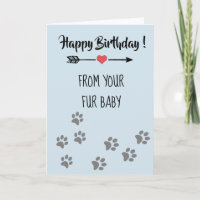 Feliz cumpleaños de parte de Dog Cat Mascota Bebé 