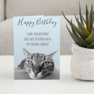 Tarjeta Feliz Cumpleaños de parte de Gato Humor Divertido