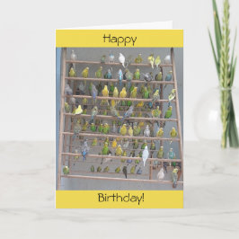 Tarjeta Feliz cumpleaños de todos los paraísos de Estados