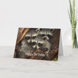 Tarjeta Feliz Cumpleaños de todos nosotros Mapaches Divert