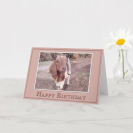 Tarjeta Feliz Cumpleaños - De tu Niño Favorito