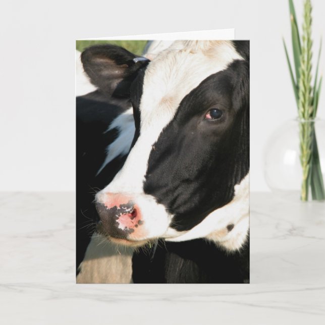 Tarjeta Feliz cumpleaños de Udderly (Anverso)