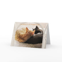 FELIZ CUMPLEAÑOS DE UN AMIGO ESPECIAL