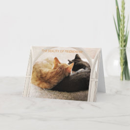 TARJETA FELIZ CUMPLEAÑOS DE UN AMIGO ESPECIAL