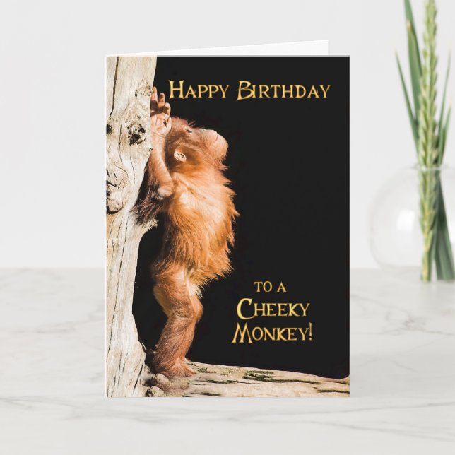 Tarjeta Feliz cumpleaños de un bebé orang utan (Anverso)