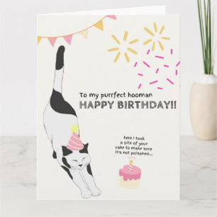 Tarjeta Feliz cumpleaños de un gato a una mujer perfecta