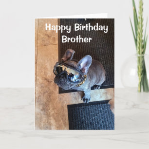 TARJETA FELIZ CUMPLEAÑOS DE UN PERRO DE GUAY "HERMANO"