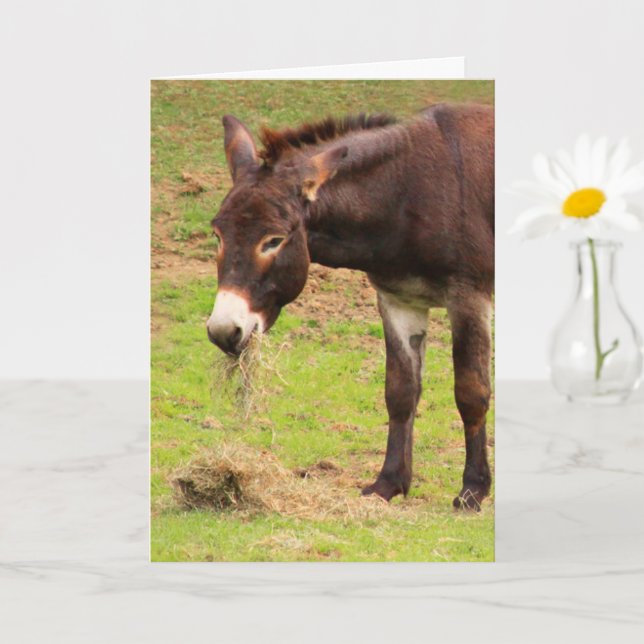Tarjeta Feliz cumpleaños del burro (Planta pequeña)