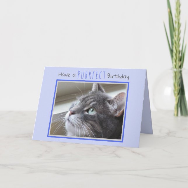 Tarjeta Feliz cumpleaños del gato (Anverso)