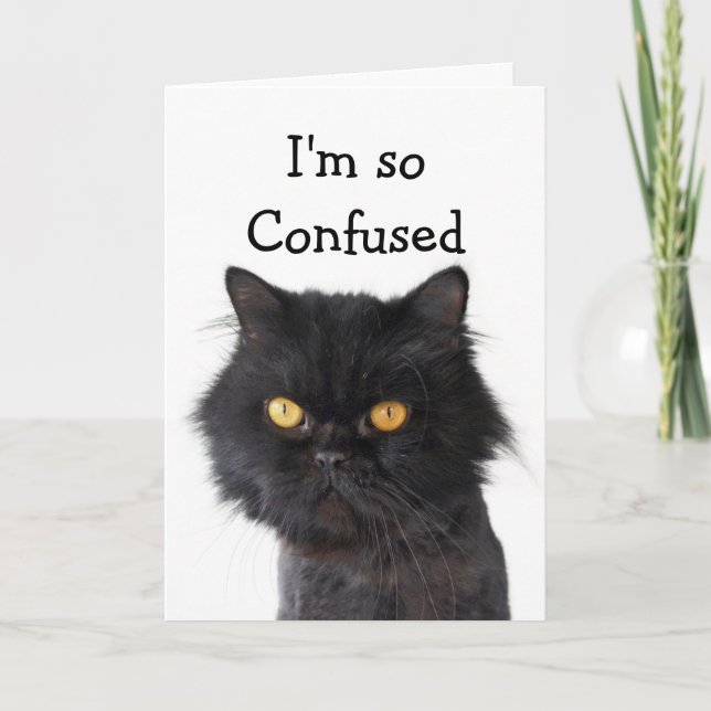 Tarjeta Felíz cumpleaños del gato negro persa confuso (Anverso)