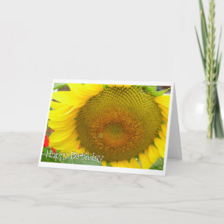 Tarjeta feliz cumpleaños del girasol