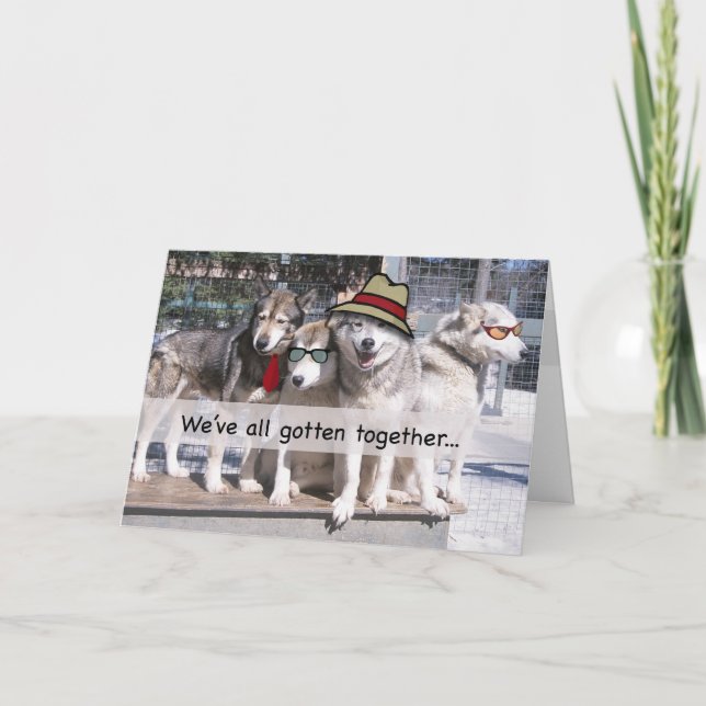 Tarjeta Feliz cumpleaños del grupo, perros esquimales (Anverso)