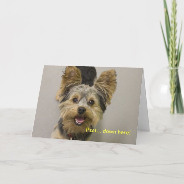 Tarjeta Feliz cumpleaños del pequeño. (Anverso)