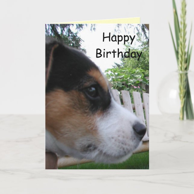 Tarjeta ¡Feliz cumpleaños del perro! (Anverso)