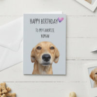 Feliz cumpleaños del perro al humano favorito