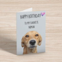 Feliz cumpleaños del perro al humano favorito