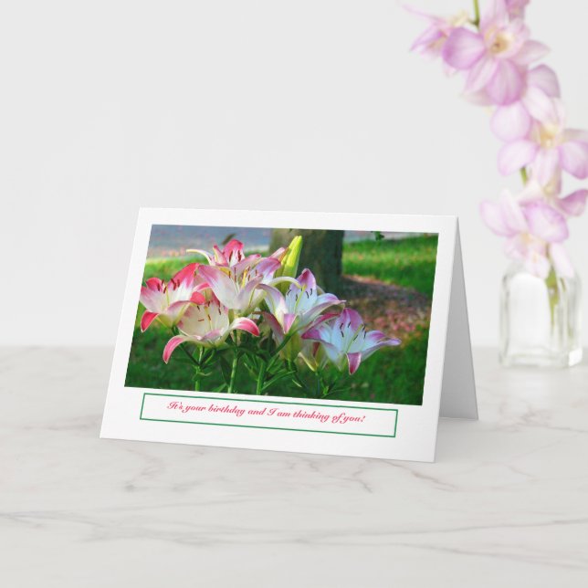 TARJETA FELIZ CUMPLEAÑOS/DÍAS ROSA Y BLANCA (Orquídea)