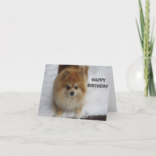 TARJETA FELIZ CUMPLEAÑOS DICE EL POMERANÍ