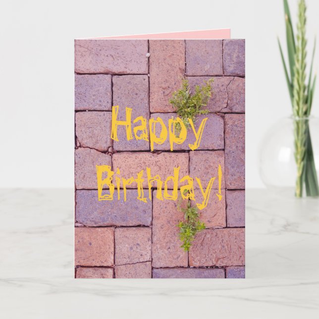 Tarjeta Feliz Cumpleaños Divertido Malezas Entre Ladrillos (Anverso)