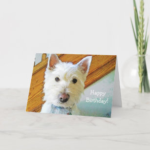 Tarjeta ¡Feliz cumpleaños, Doggone! Con Perro Westie