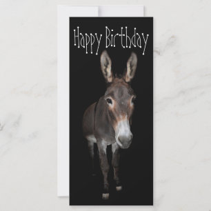 Tarjeta Feliz cumpleaños, Donkey